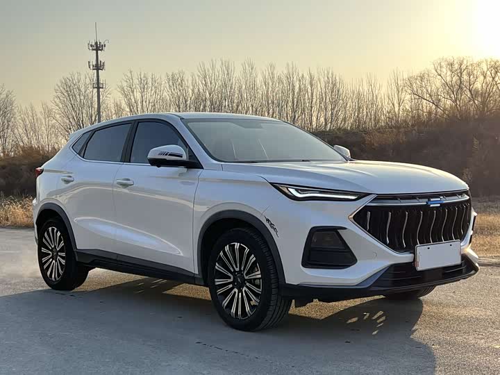 Фото 3 - Changan Oshan X5