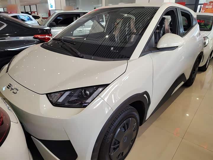 Фото 1 - BYD Seagull