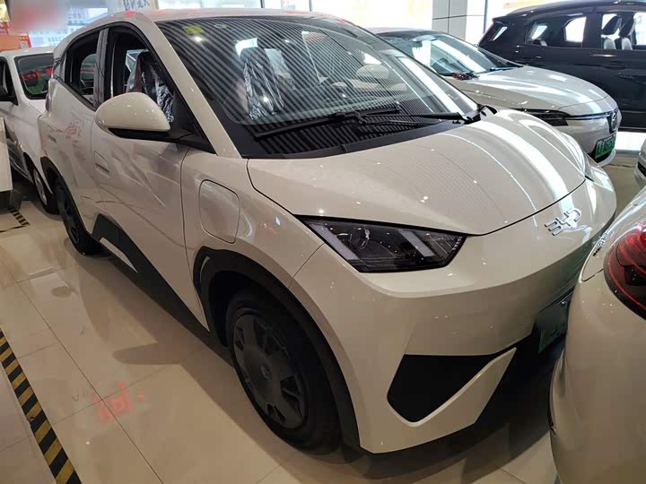 Фото 4 - BYD Seagull