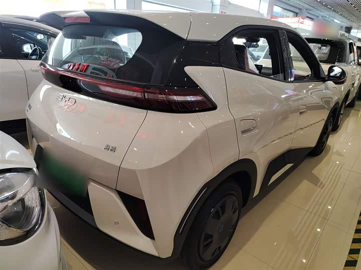 Фото 7 - BYD Seagull