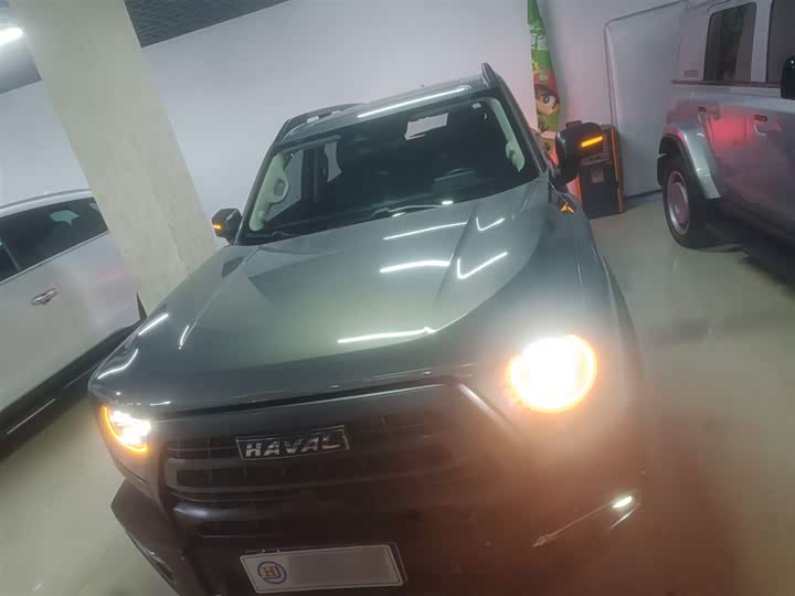 Фото 3 - Haval Dargo