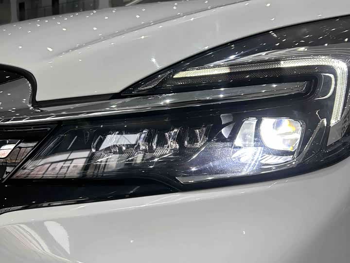 Фото 6 - Buick GL8 ES