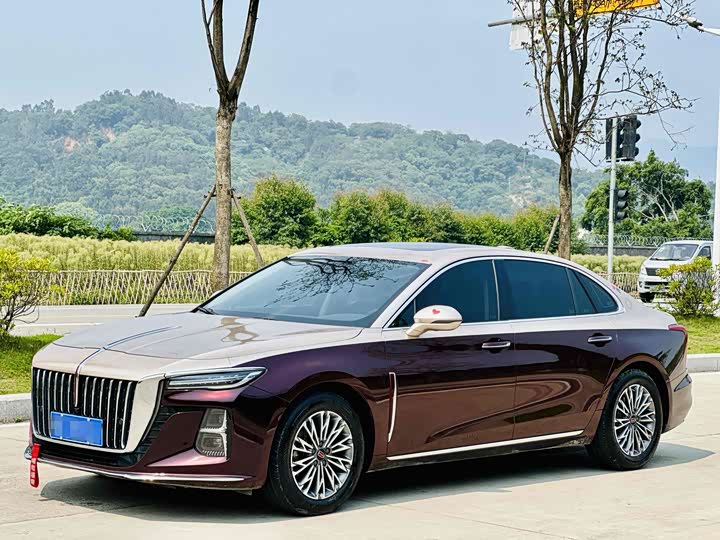 Фото 1 - Hongqi H5