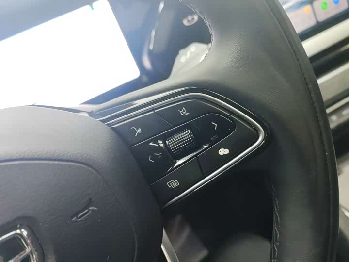 Фото 5 - Geely Monjaro