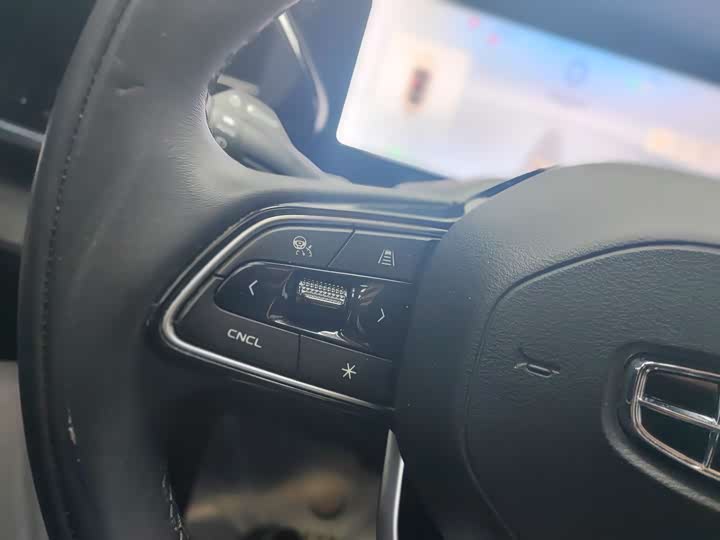 Фото 7 - Geely Monjaro