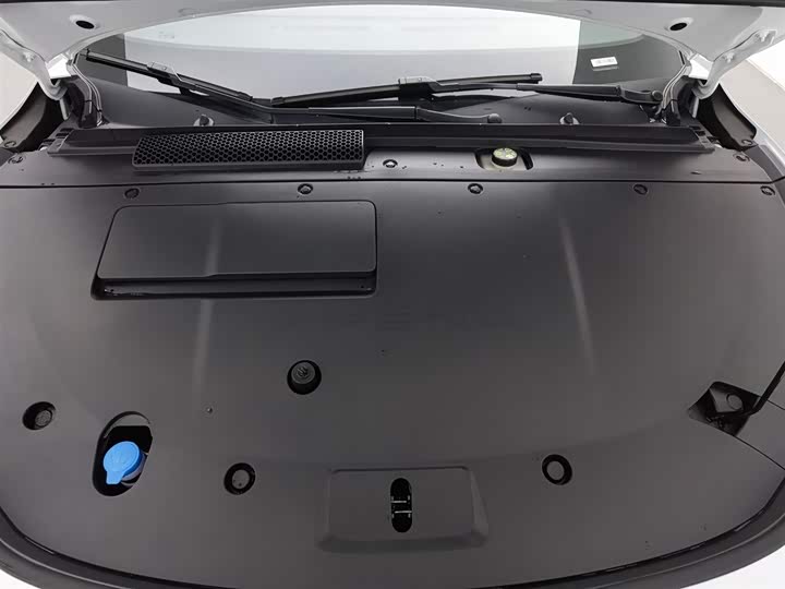 Фото 6 - XPeng F57