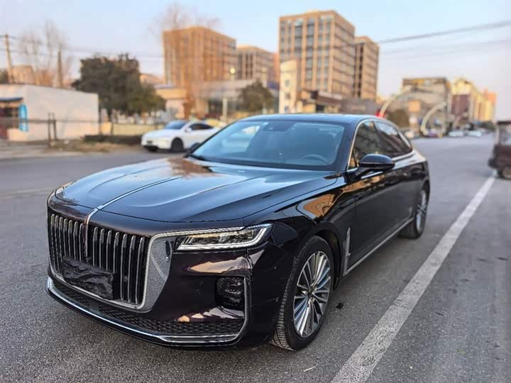 Фото 1 - Hongqi H9