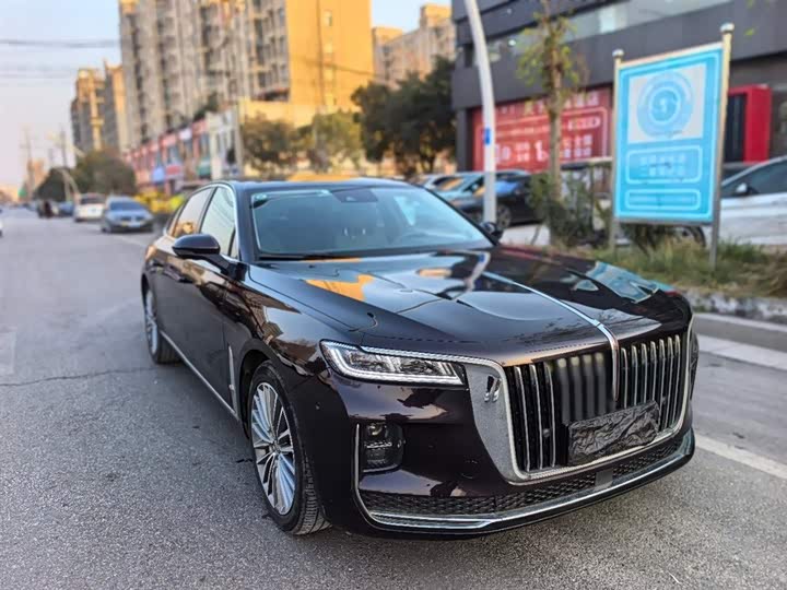 Фото 2 - Hongqi H9
