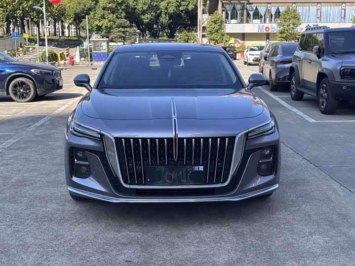 Фото 2 - Hongqi H5