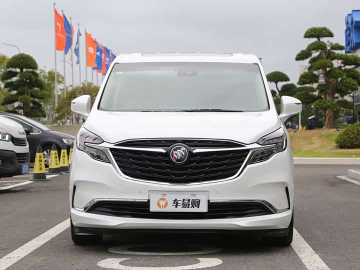 Фото 2 - Buick GL8 ES