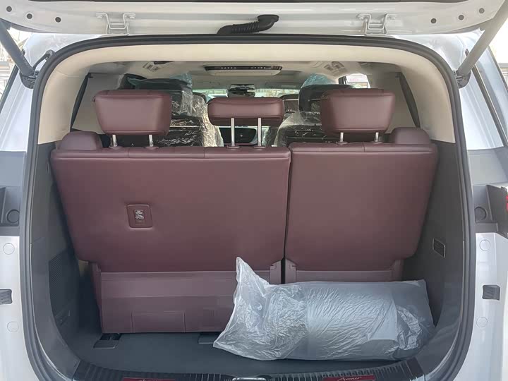 Фото 4 - Buick GL8 Century