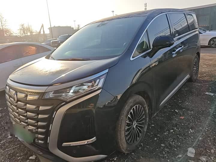 Фото 1 - Denza D9