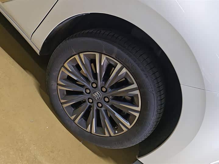 Фото 6 - Buick GL8 ES