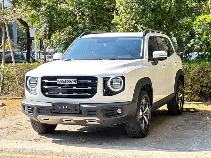 Фото 1 - Haval Dargo