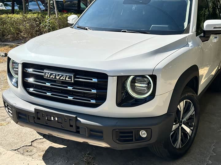 Фото 4 - Haval Dargo