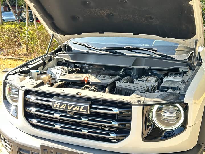 Фото 5 - Haval Dargo