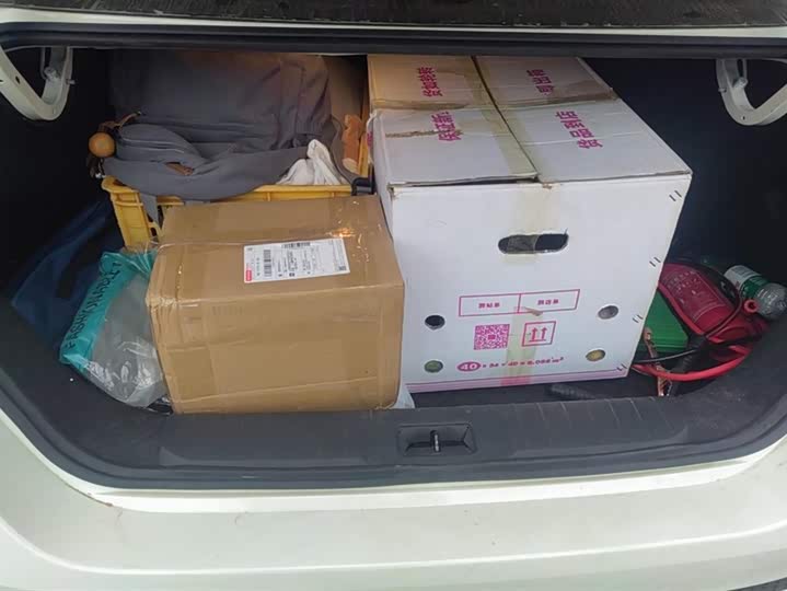 Фото 4 - Nissan Sylphy