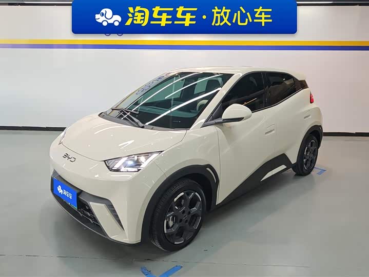 Фото 1 - BYD Seagull