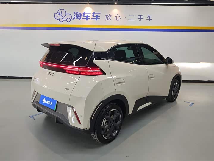 Фото 3 - BYD Seagull