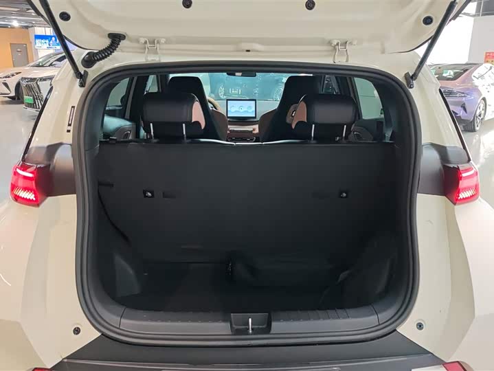 Фото 4 - BYD Seagull