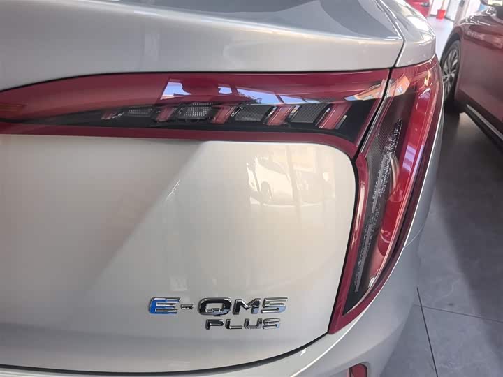 Фото 8 - Hongqi E-QM5