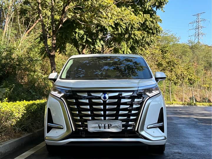 Фото 2 - Denza D9