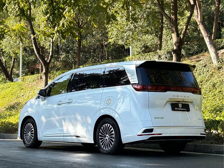 Фото 4 - Denza D9