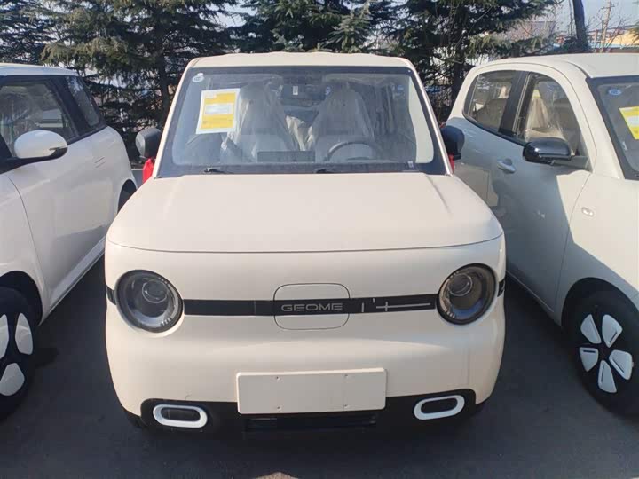 Фото 3 - Geely Galaxy Panda Mini