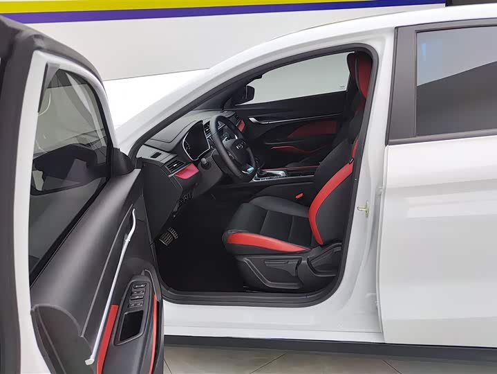 Фото 9 - Geely Binrui