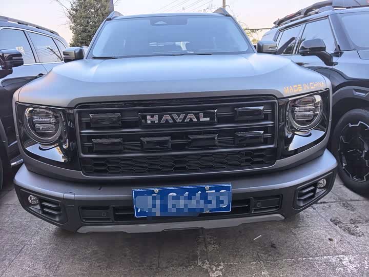 Фото 3 - Haval Dargo