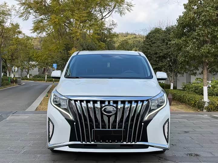 Фото 2 - GAC Trumpchi M8