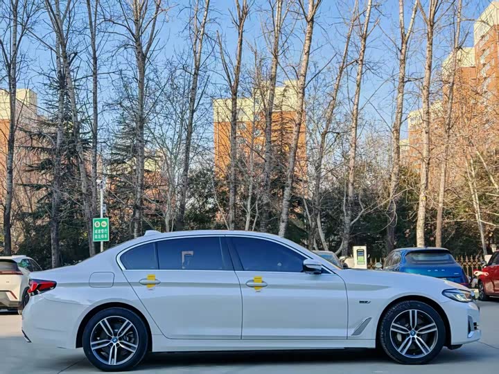 Фото 4 - BMW 5 Series Hybrid