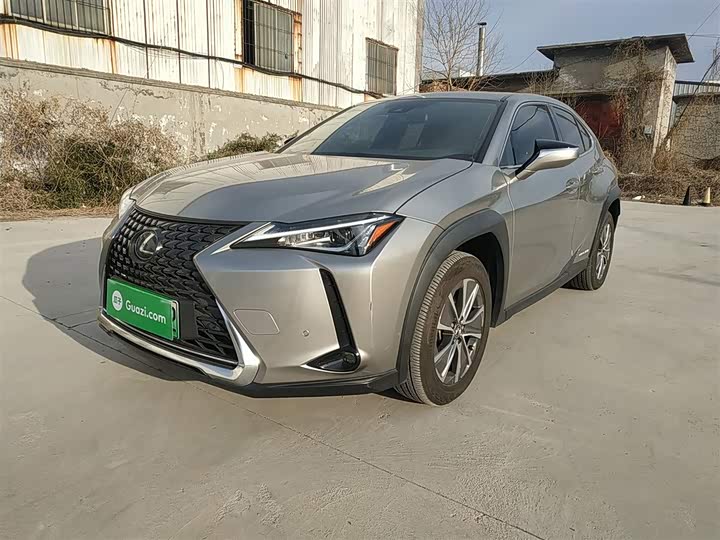 Фото 1 - Lexus UX Hybrid
