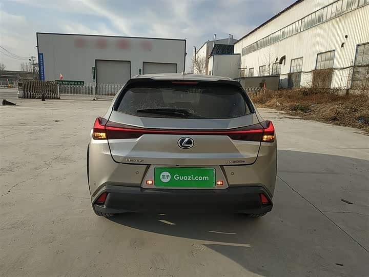 Фото 6 - Lexus UX Hybrid