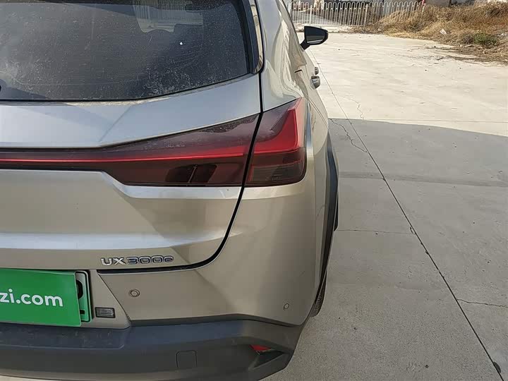 Фото 8 - Lexus UX Hybrid