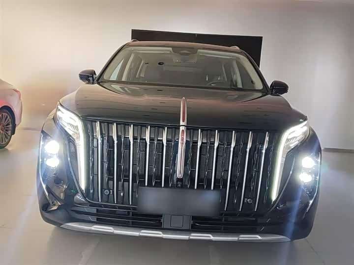 Фото 2 - Hongqi HS7 Hybrid