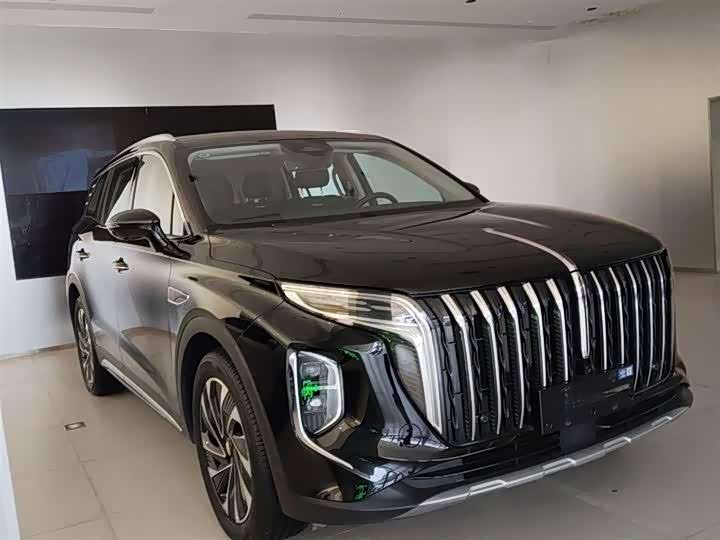 Фото 3 - Hongqi HS7 Hybrid