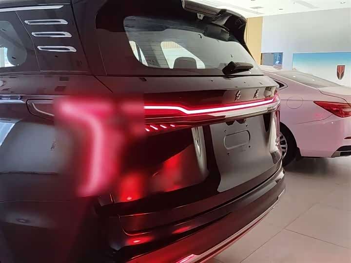 Фото 5 - Hongqi HS7 Hybrid