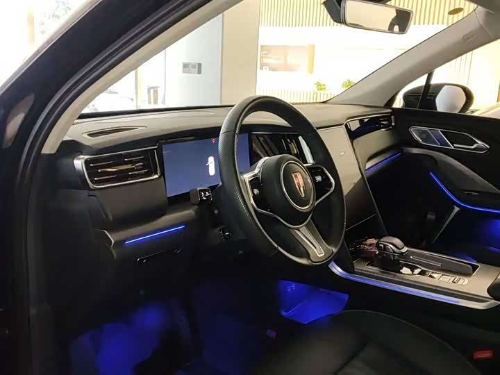 Фото 8 - Hongqi HS7 Hybrid