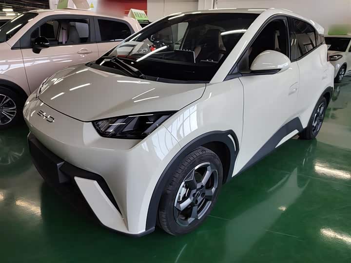 Фото 1 - BYD Seagull