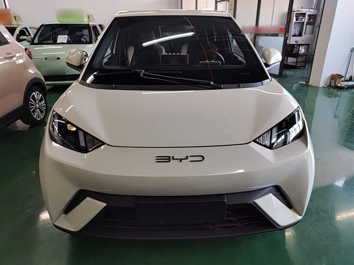 Фото 3 - BYD Seagull