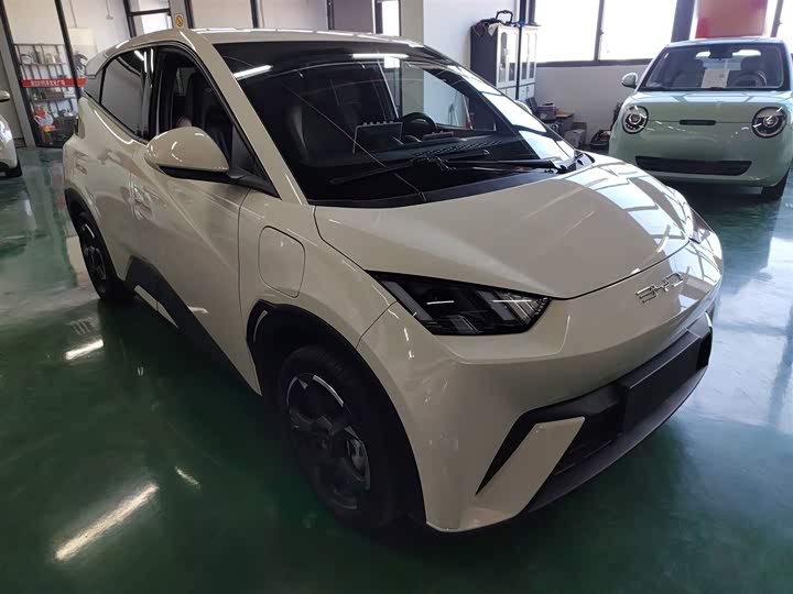 Фото 4 - BYD Seagull