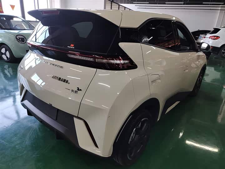 Фото 7 - BYD Seagull