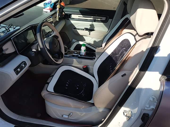 Фото 8 - Geely Icon