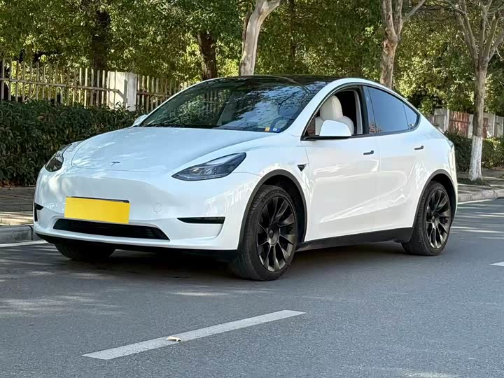 Фото 1 - Tesla Model Y