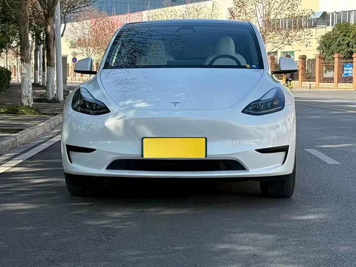 Фото 2 - Tesla Model Y