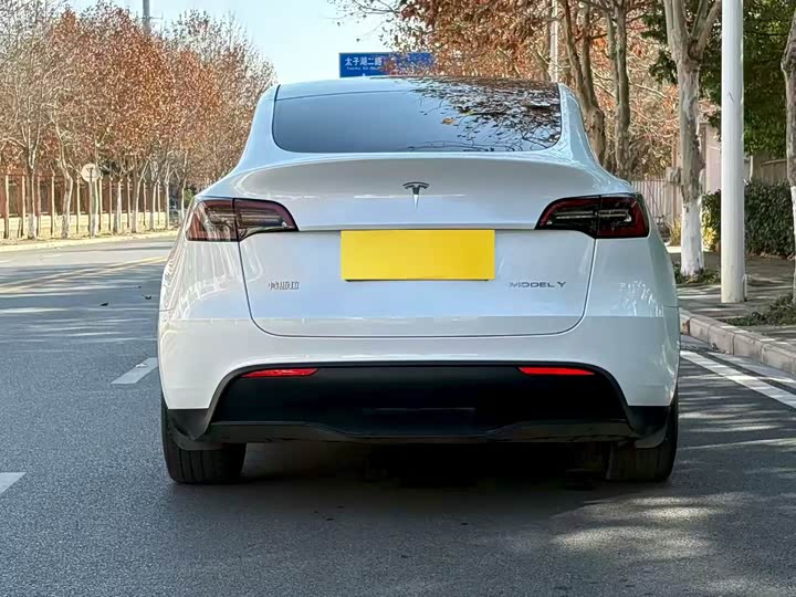 Фото 9 - Tesla Model Y