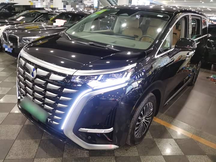 Фото 1 - Denza D9