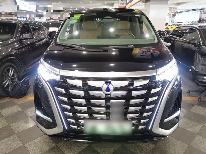 Фото 3 - Denza D9