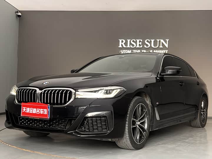 Фото 1 - BMW 5 Series Hybrid